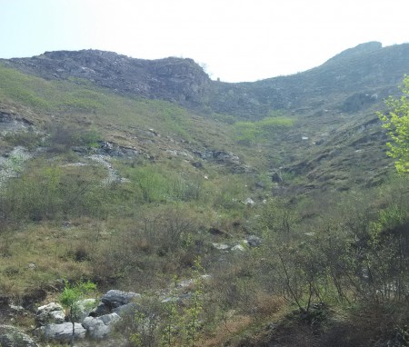 Druan goes to Baoding, Hebei for project negotiation