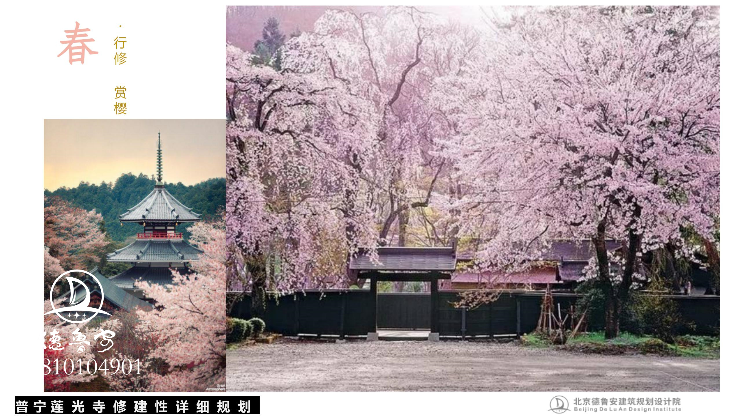 20240503莲光寺总体规划_74.jpg