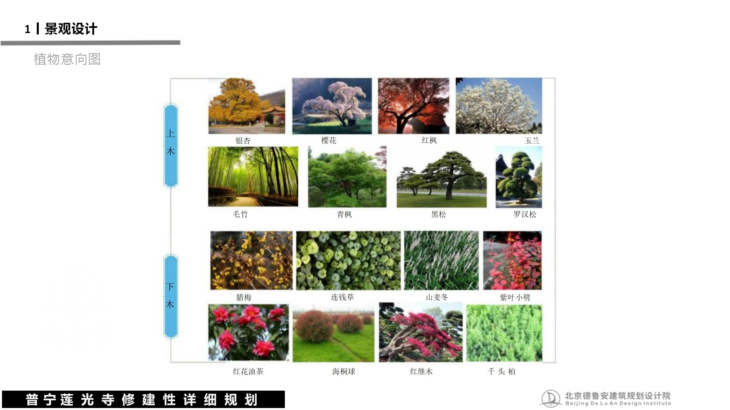 20240503莲光寺总体规划_78.jpg