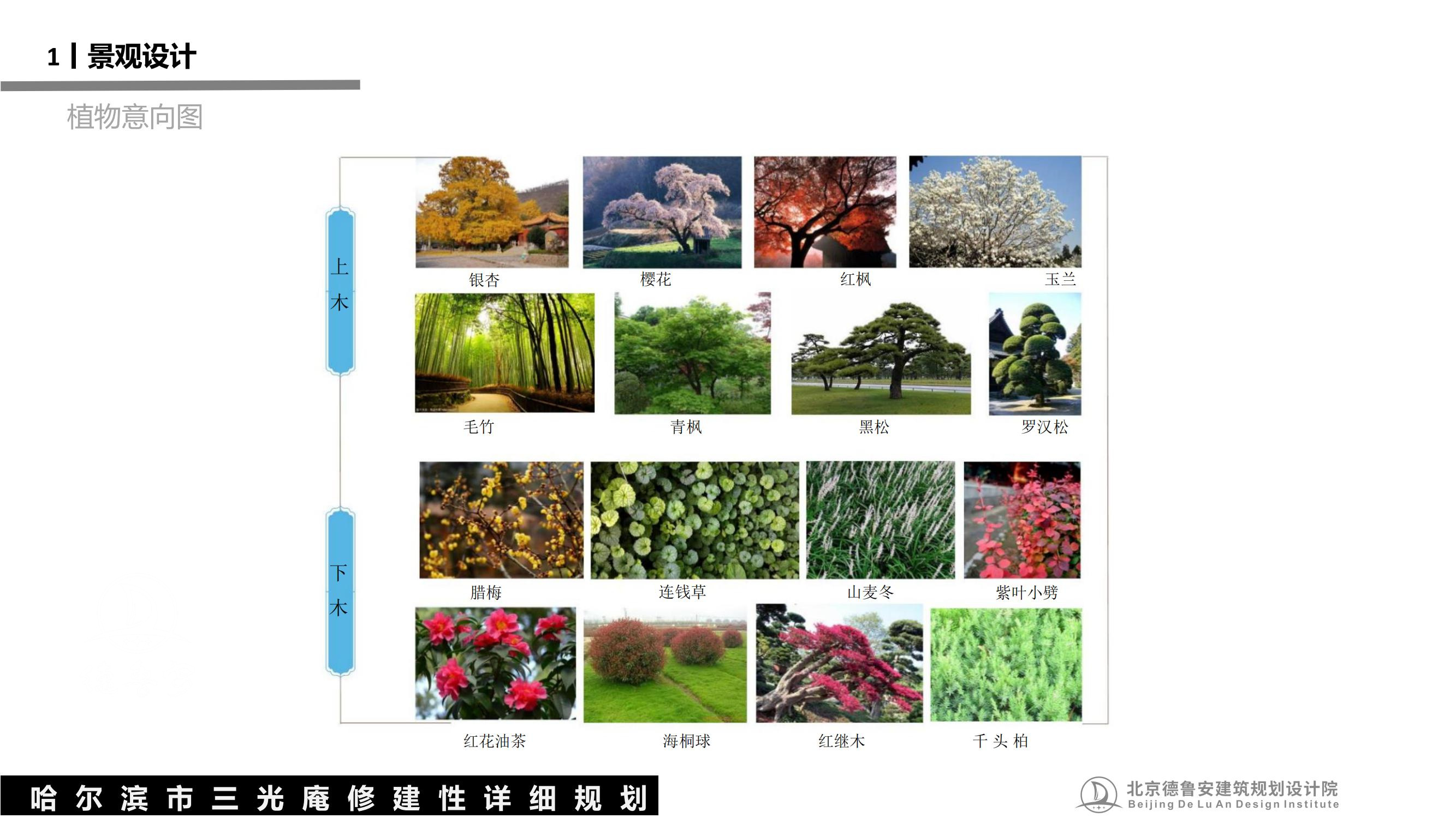 三光庵总体规划(1)_92.jpg