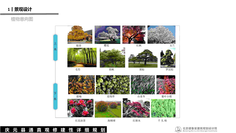 庆元县通真观总体规划_83.jpg
